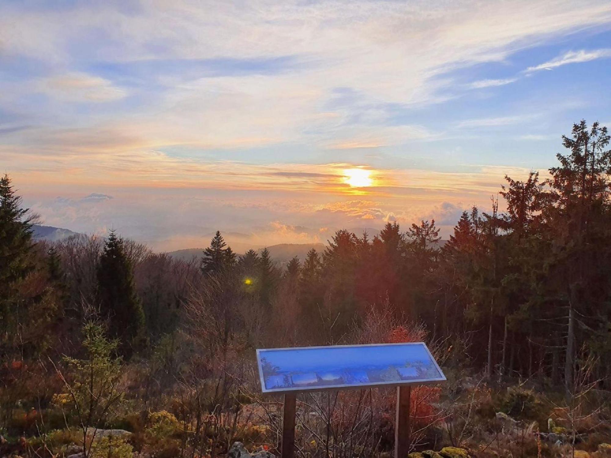 Winklworld 2 Mit Hallenbad Und Sauna Inklusive Aktivcard Lejlighed