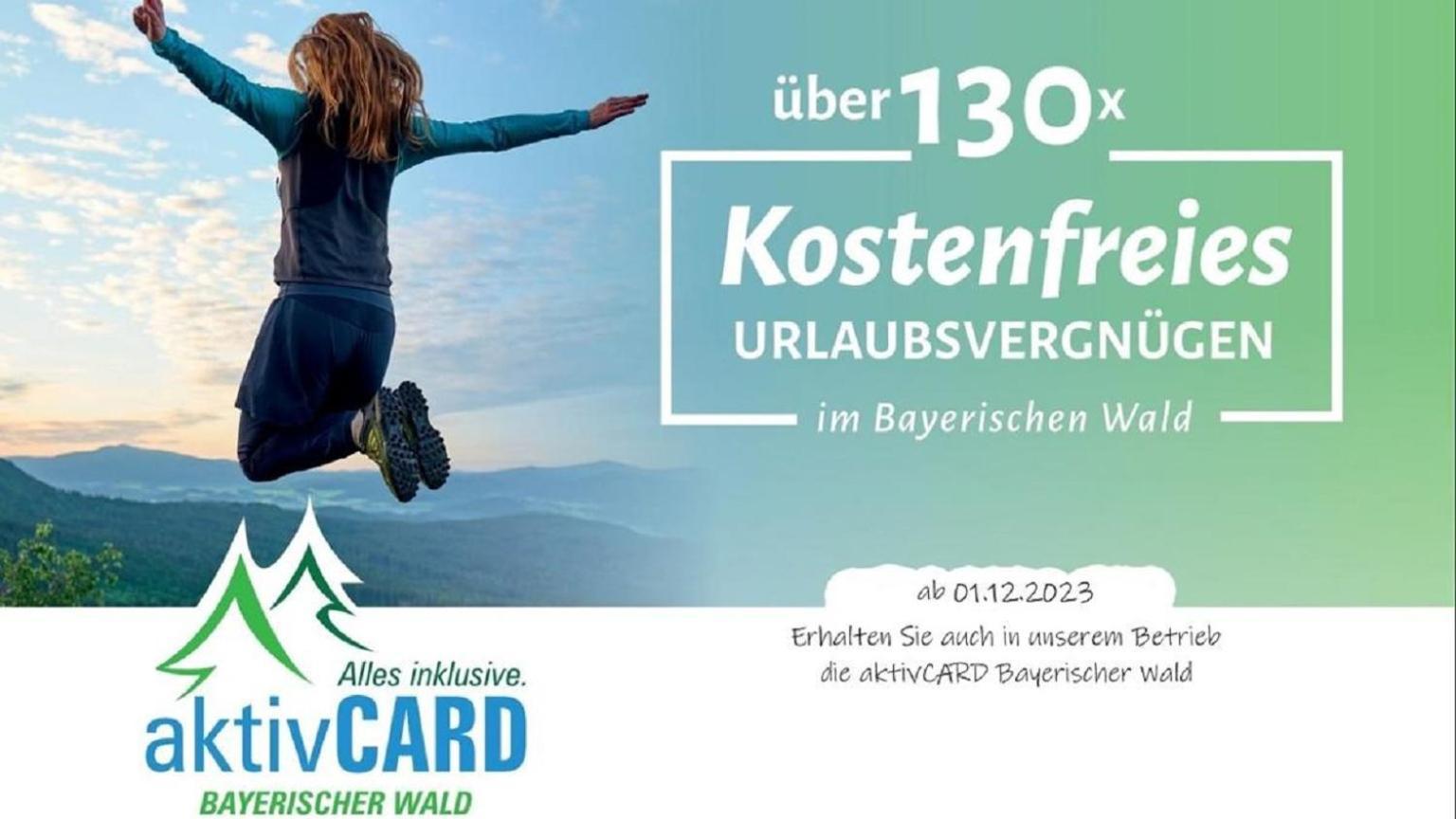 Apartment Winklworld 2 Mit Hallenbad Und Sauna Inklusive Aktivcard