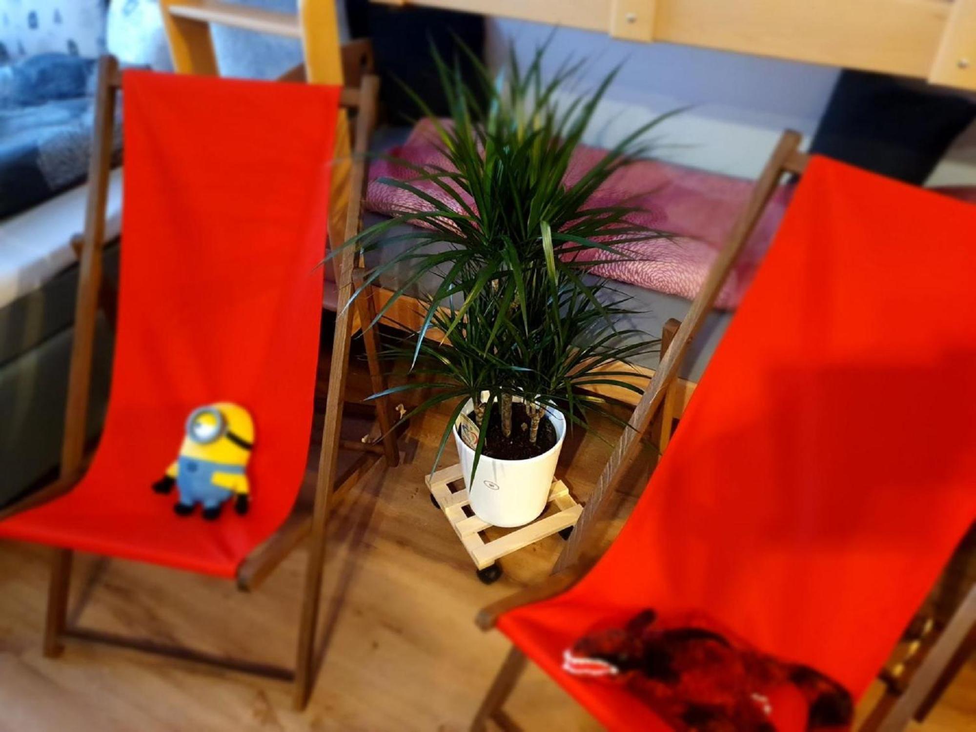 Winklworld 2 Mit Hallenbad Und Sauna Inklusive Aktivcard Apartment *